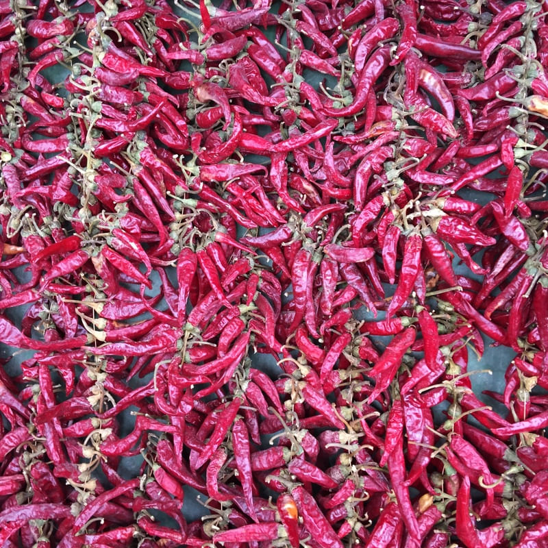 PEPPERS