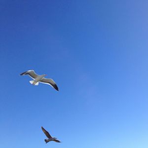 IN THE BLUE SKY