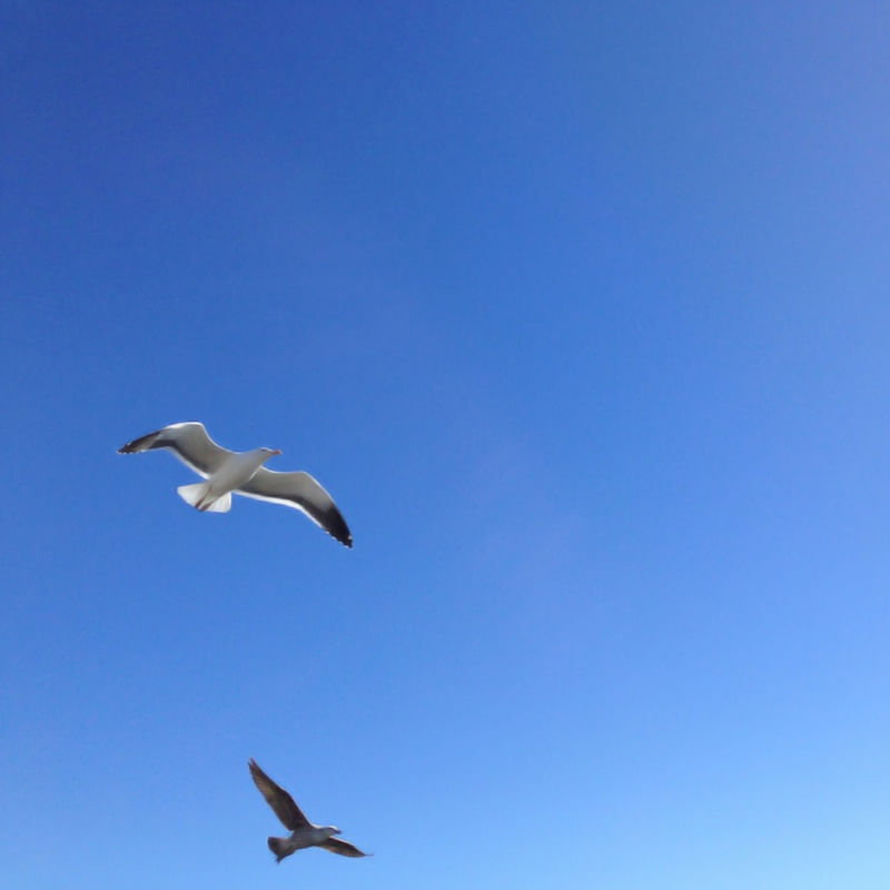 IN THE BLUE SKY