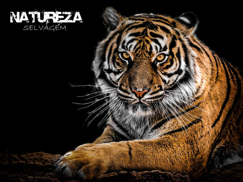 NATUREZA DE CONTRASTES
