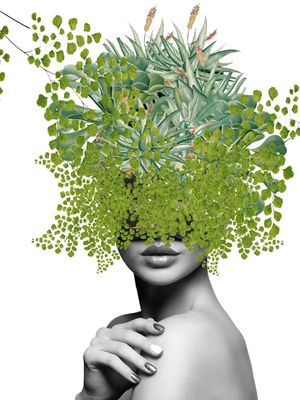 RAINHA NATURE 01