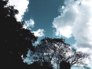 PAISAGEM FAZENDA