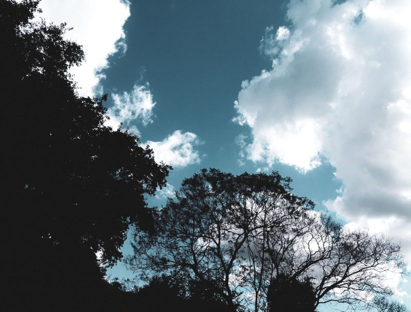 PAISAGEM FAZENDA