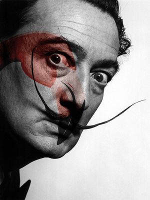 SALVADOR DALI E O OLHO DE FLAMINGO