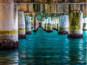 AUSTRALIA TALLEBUDGERA CREEK