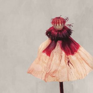 RARE FLOWERS 7