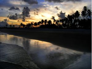 PRAIA DO FRANCÊS 928