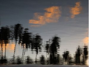 REFLEXO 55