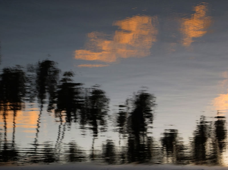 REFLEXO 55
