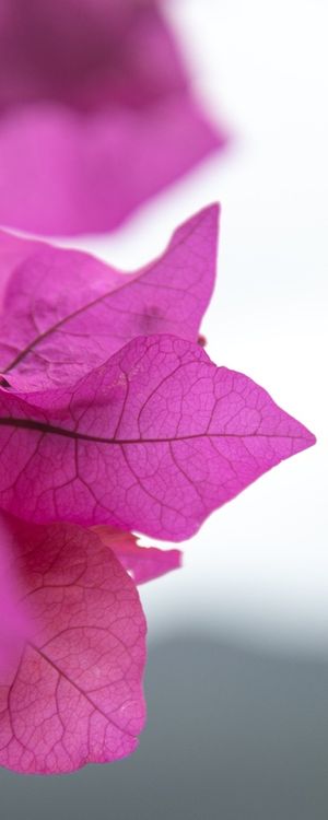 MACRO 3