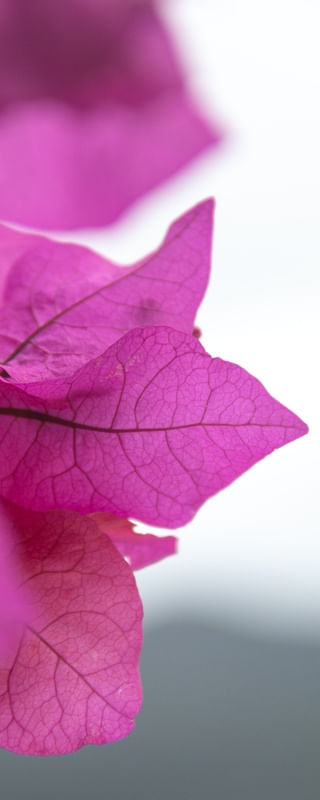 MACRO 3