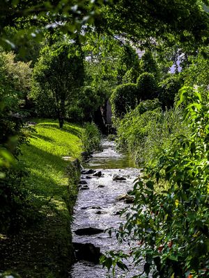 JARDIM ENCANTADO