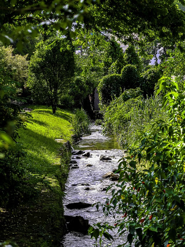 JARDIM ENCANTADO