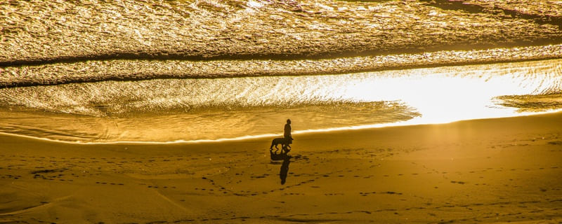 WITH MY OWNER AT THE BEACH