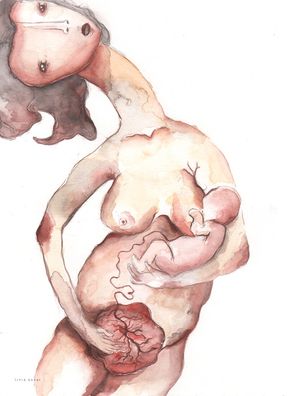 PLACENTA
