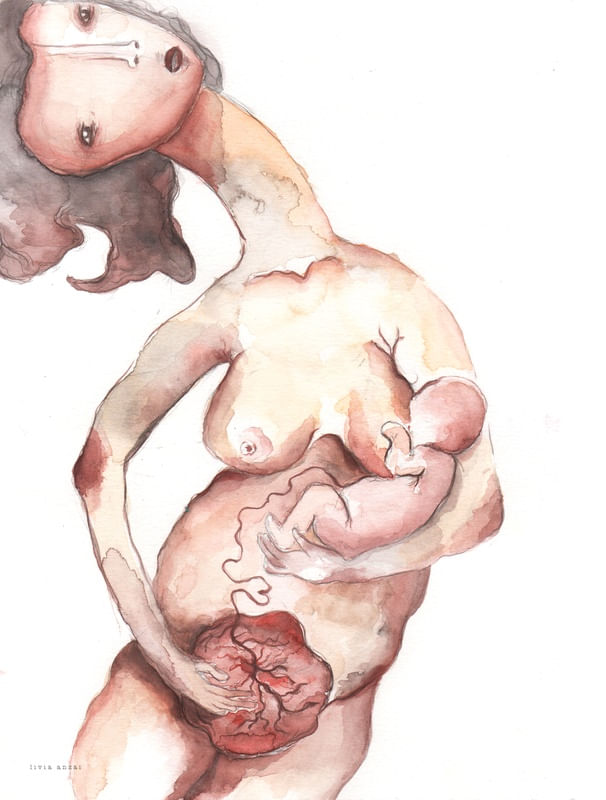 PLACENTA