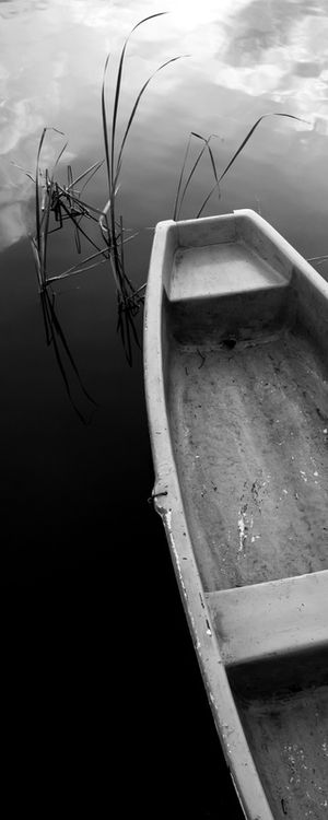 BARCO 3