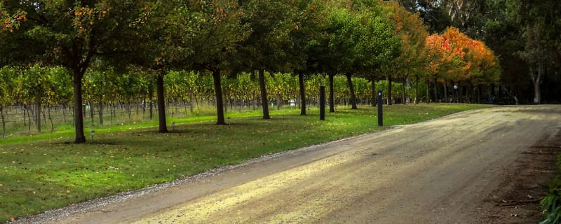 AUSTRALIA VICTORIA STATE VINEYARDS E