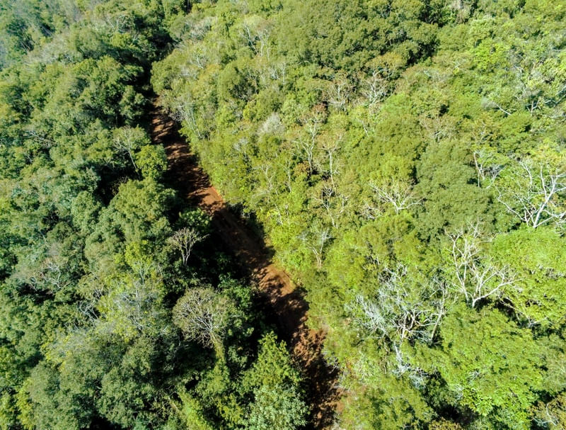 ESTRADA PELA FLORESTA