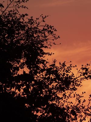 ENTARDECER - DIPTICO I