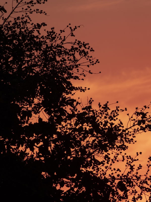 ENTARDECER - DIPTICO I