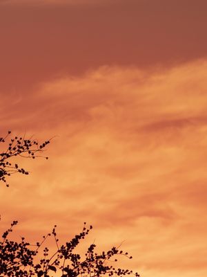 ENTARDECER - DIPTICO II