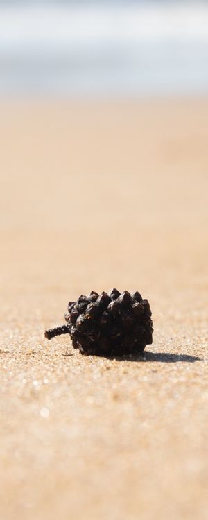SMALL THINGS