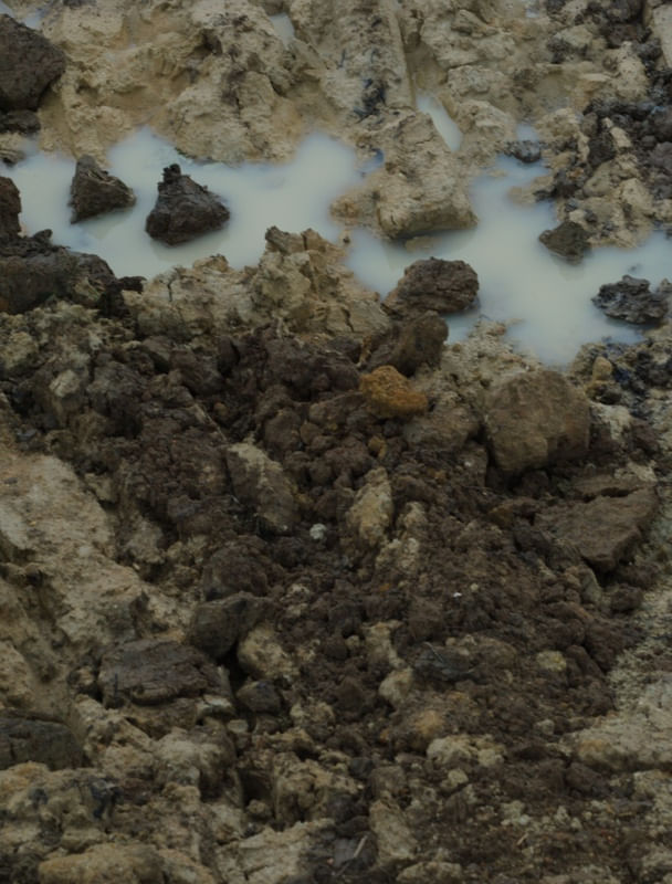 SEM TÍTULO - TERRA UMIDA 1