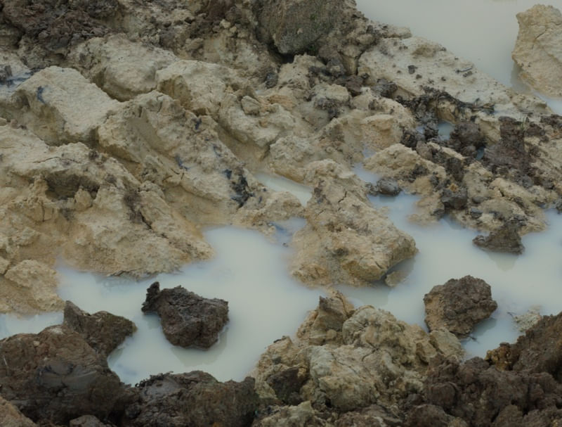 SEM TÍTULO - TERRA UMIDA 2