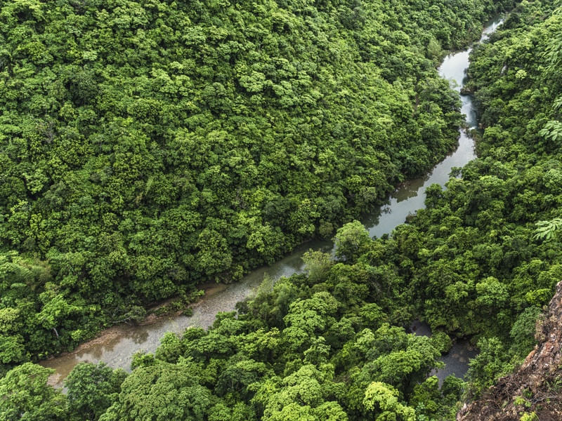 VERDE VIDA