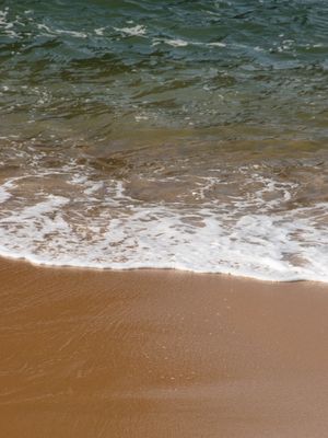 WATER EDGE