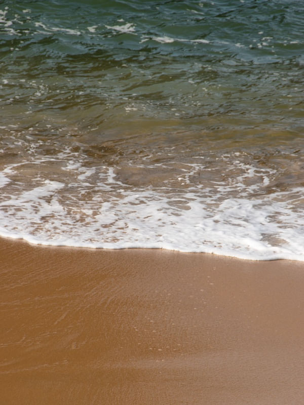 WATER EDGE