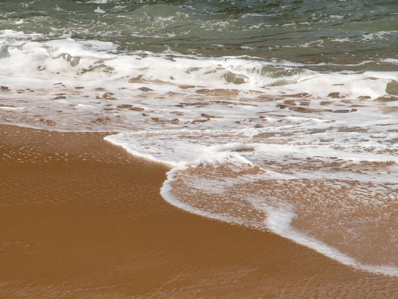 WATER EDGE I