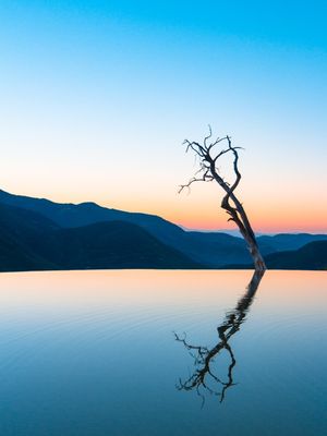 ÁRVORE ISOLADA E SEU REFLEXO SOBRE O LAGO
