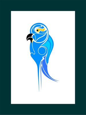 ARARA AZUL RAINHADO BRASIL