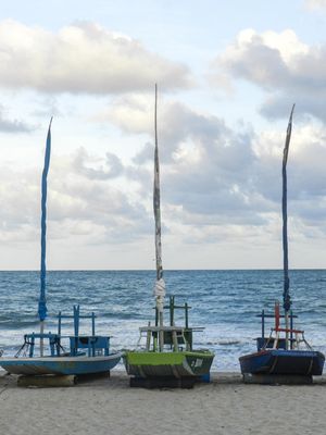 3 BARCOS