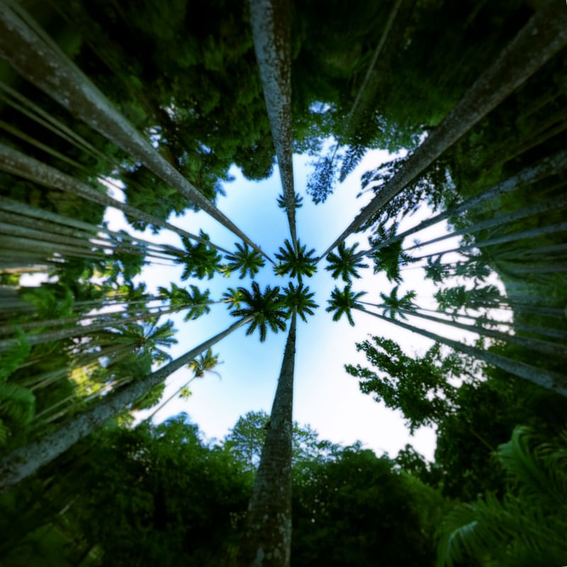 JARDIM BOTÂNICO 360