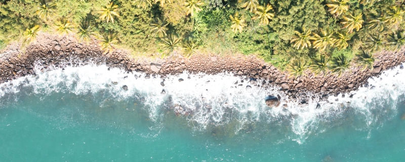 NATUREZA, MAR VERDE