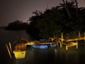 PIER PINTADO 02