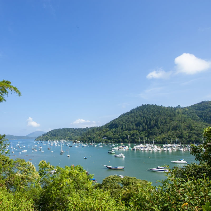 PIER DE UBATUBA CHEIO DE BARCOS 05 QUADRADA