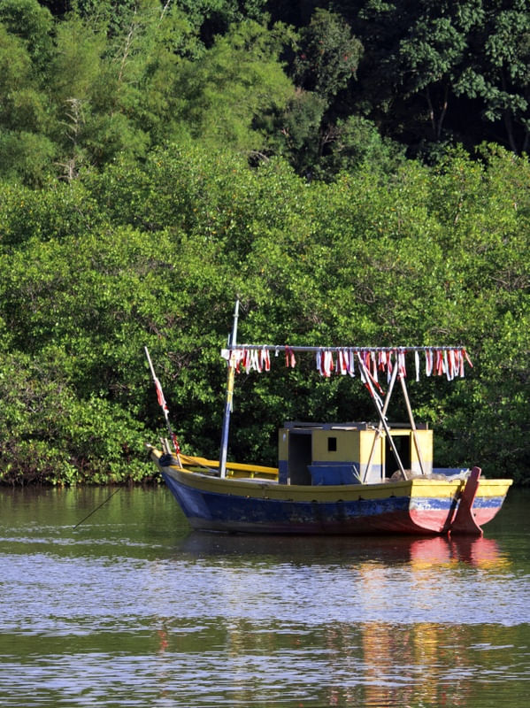 BARCO AMARELO DE CARAÍVA
