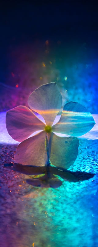 SPIRIT OF MIND 4