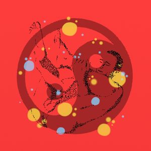 POSIÇÃO PROIBIDA (MINIMALIST LIFE #017)