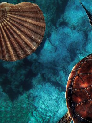 UNDER THE SEA 1