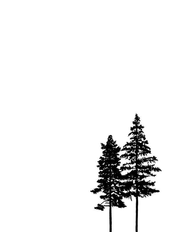 ÁRVORES MINIMALISTAS II