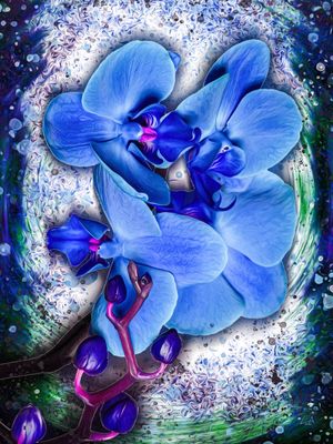 ORQUÍDEA AZUL DE LUCAS ALMA