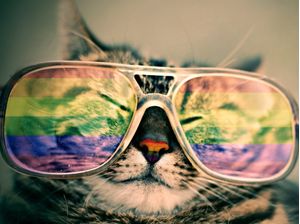 PRIDE CAT