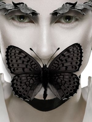 THE BUTTERFLY