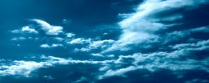 NUVENS 0504PP-0