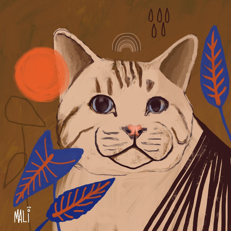 CAT LEAVES